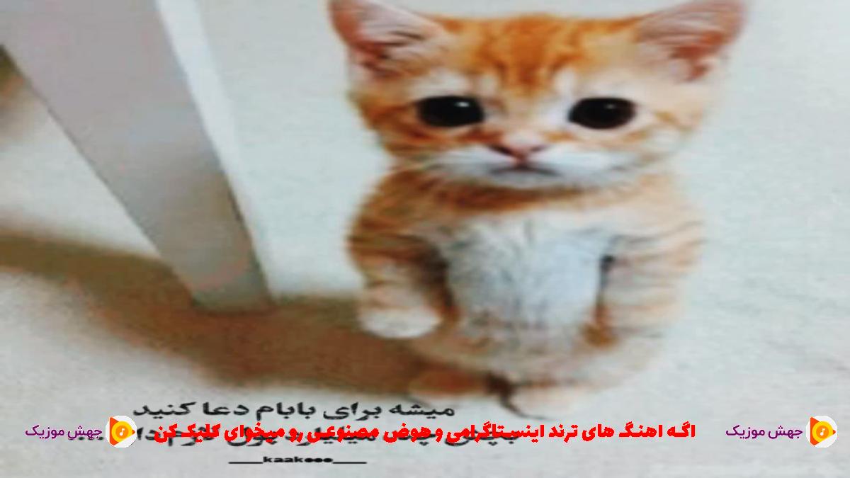 دانلود آهنگ شدیم دوتا غریبه بیبی واقعا عجیبه از 